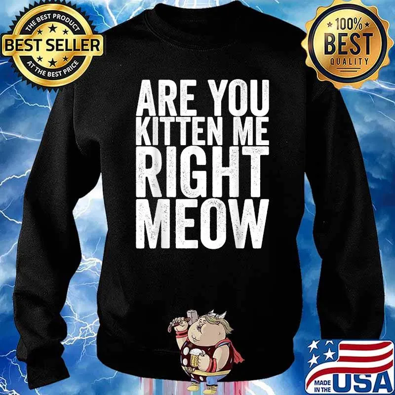 Are You Kitten Me Right Meow Quote Shirt Sweater