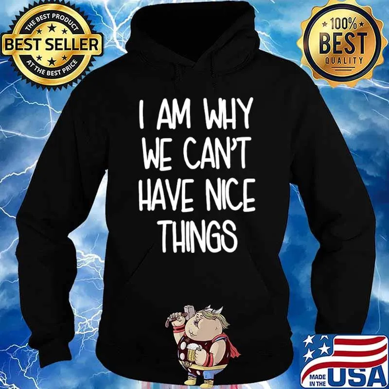 I am why we cant have nice things Hoodie