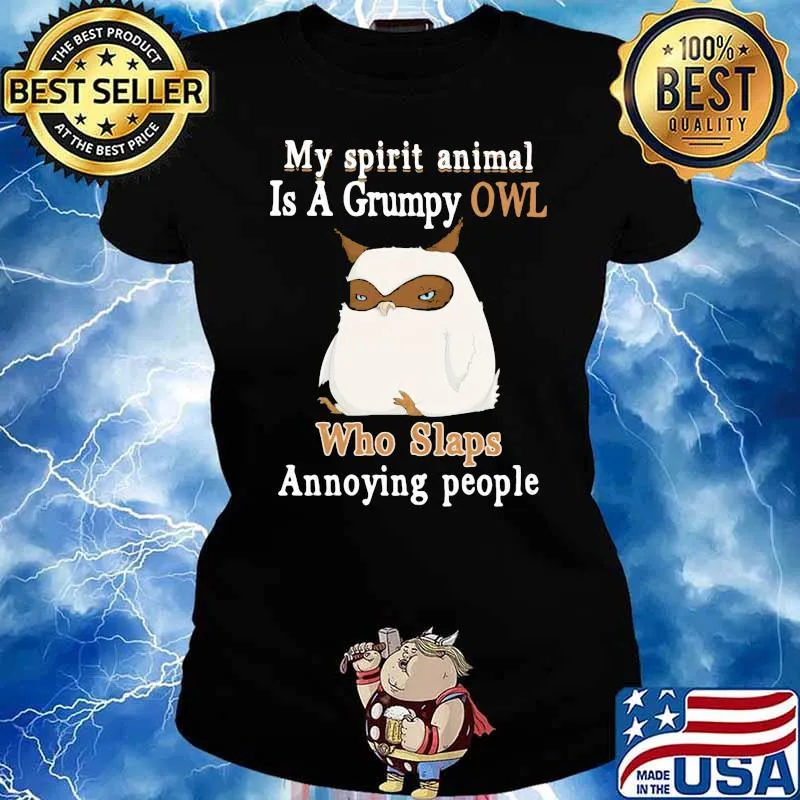 My Spirit animal Is a Grumpy Owl Who Slap Annoying People OWl Shirt Ladies tee