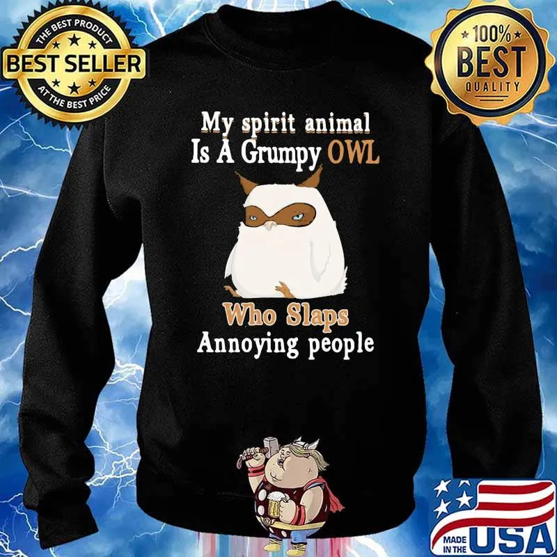 My Spirit animal Is a Grumpy Owl Who Slap Annoying People OWl Shirt Sweater