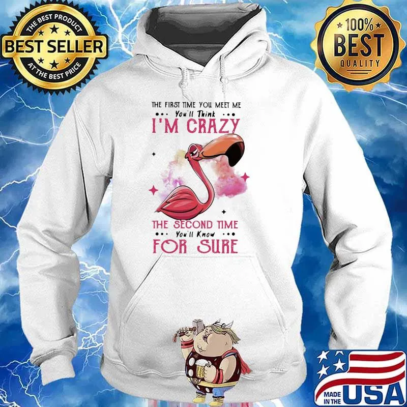 The First Time You Meet Me You'll Think I'm Crazy The Second Time You'll Know For Sure Flamingo Shirt Hoodie