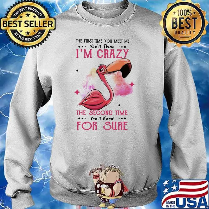 The First Time You Meet Me You'll Think I'm Crazy The Second Time You'll Know For Sure Flamingo Shirt Sweater