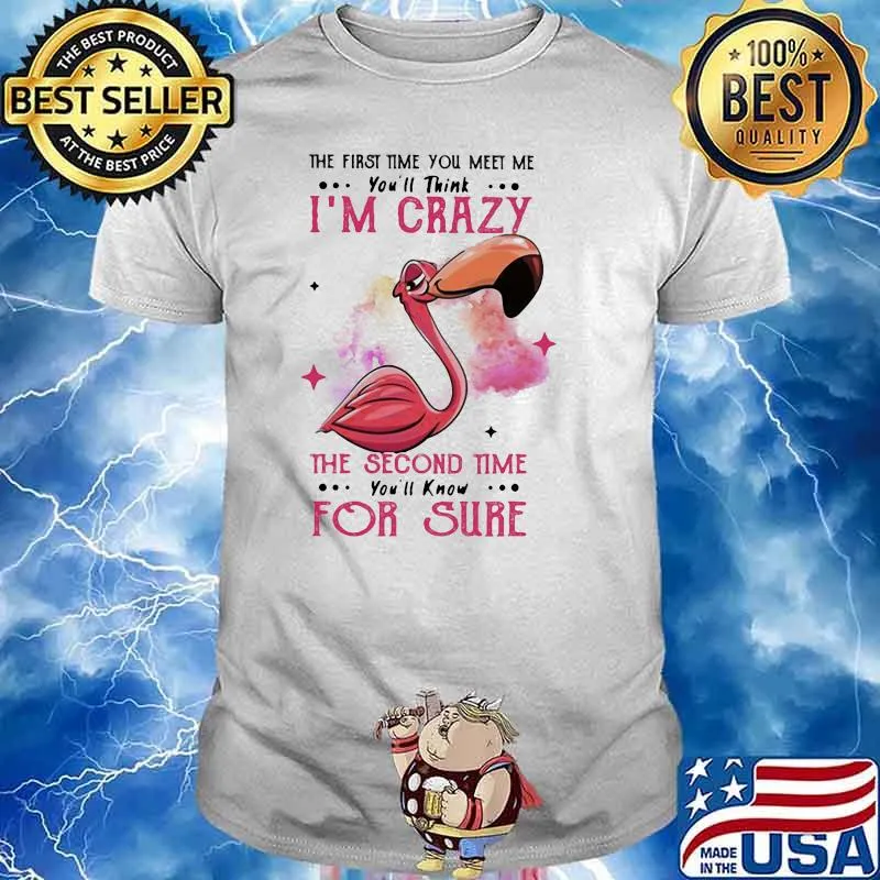 The First Time You Meet Me You'll Think I'm Crazy The Second Time You'll Know For Sure Flamingo Shirt
