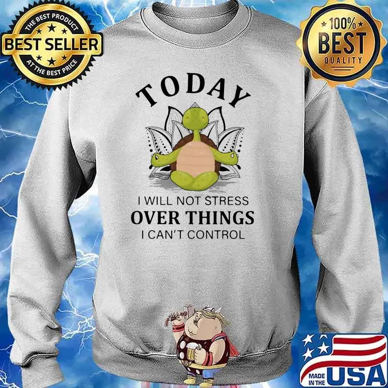 Today I Will Not Stress Over Things I Can't Control Turtle Sweater