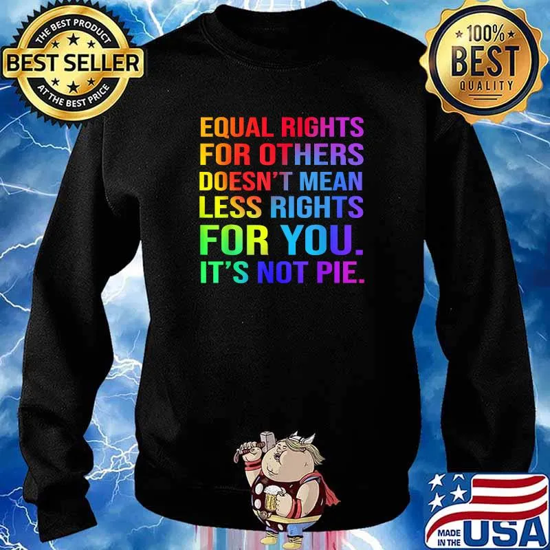 Equal Rights For Others Doesn't Mean Less Rights For you It's Not Pie Shirt Sweater