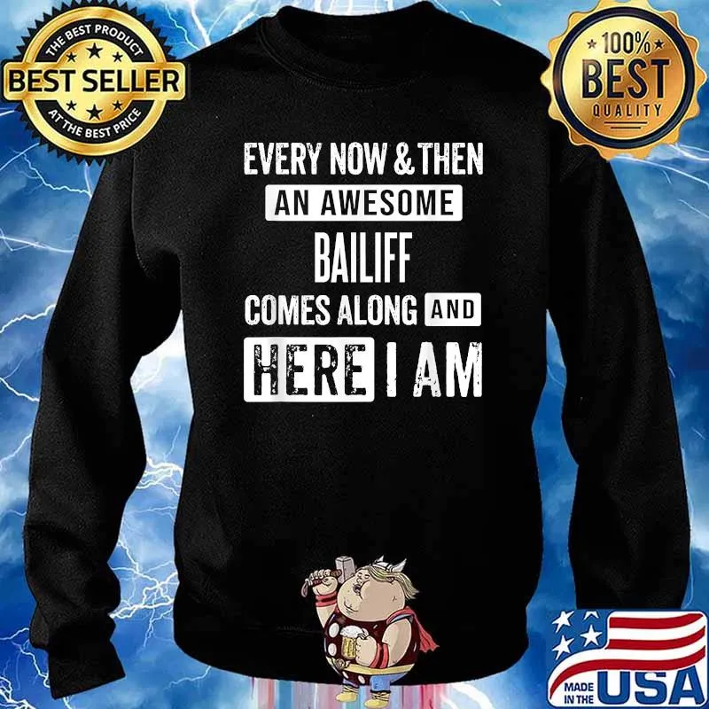 Every Now And Then An Awesome Bailiff Comes Along And here I am Shirt Sweater