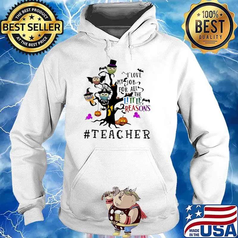 I love my job for all the little reasons teacher halloween owl Hoodie