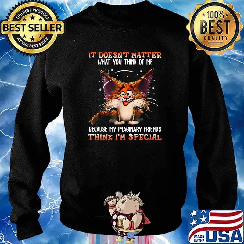 It Doesn't Matter What You Think Of Me Because My Imaginary Friends Think Im Special Cat T-Shirt Sweater