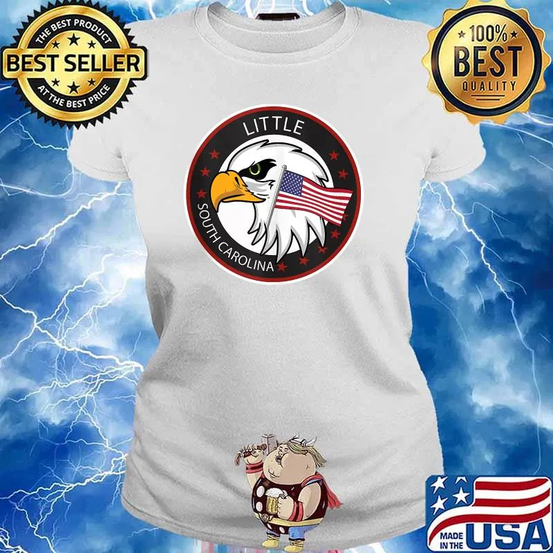 Little SC South Carolina Eagles Usa Flag T-Shirt Ladies tee