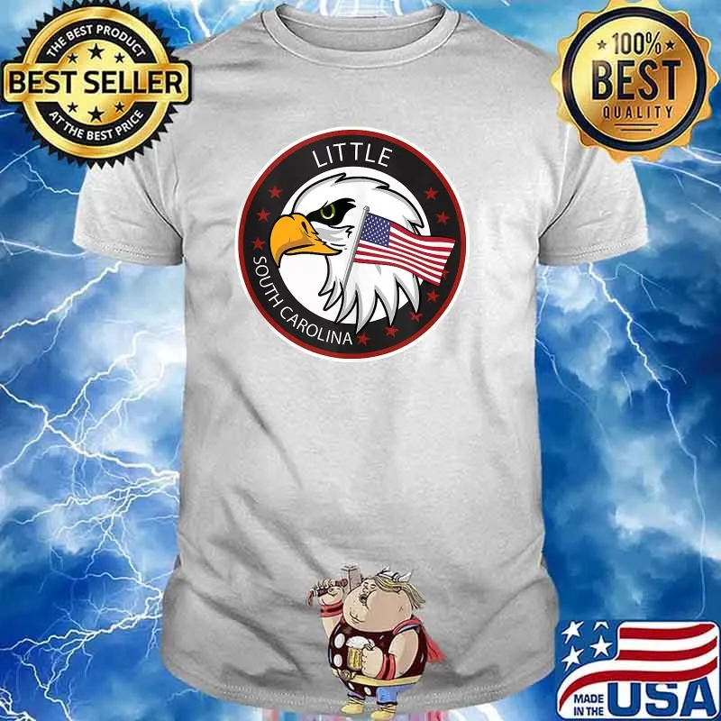 Little SC South Carolina Eagles Usa Flag T-Shirt