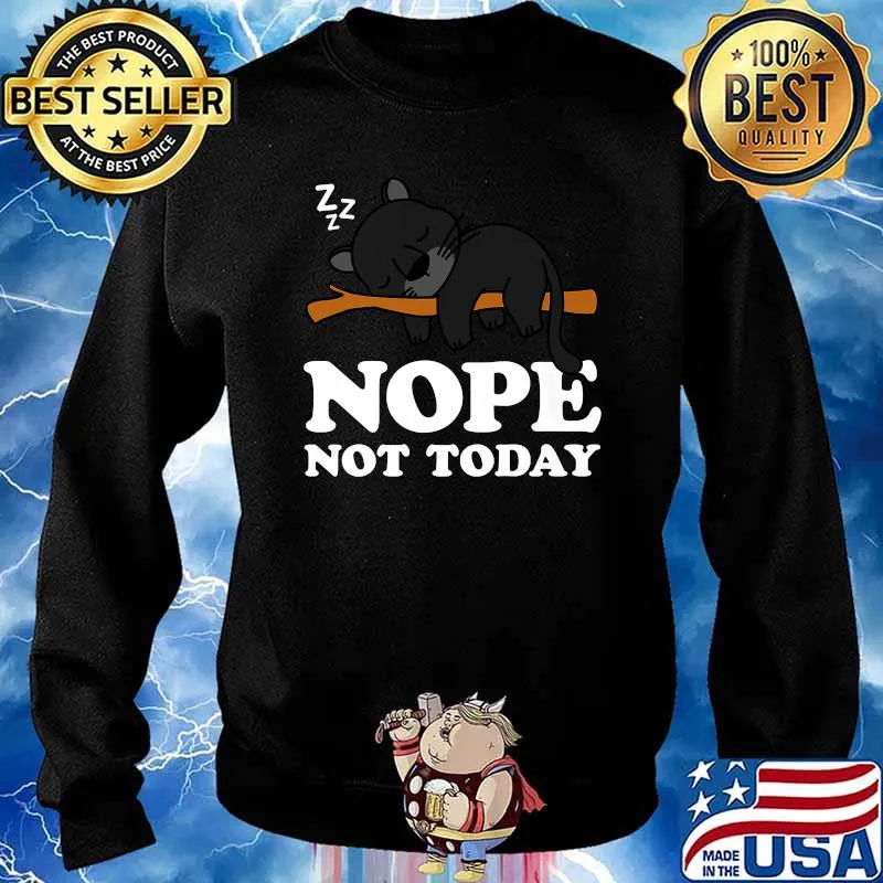 Premium nope Not Today Cute Sleeping Panther Lover T-Shirt Sweater