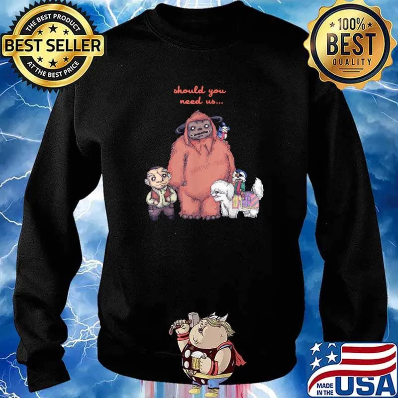 Should You Need Us T-Shirt Sweater