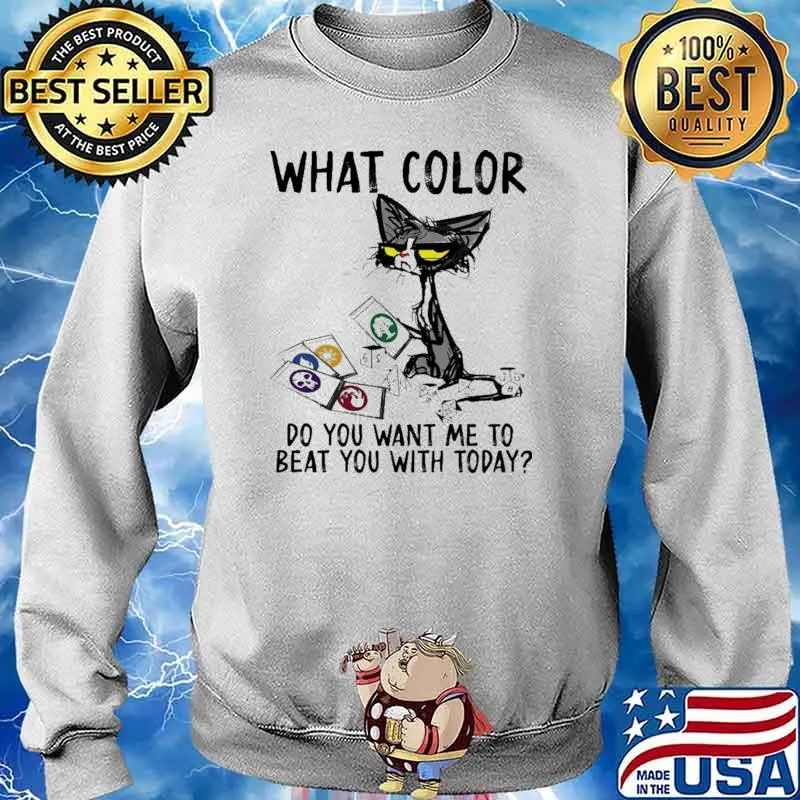 What color do you want me to beat you with today cat Shirt Sweater