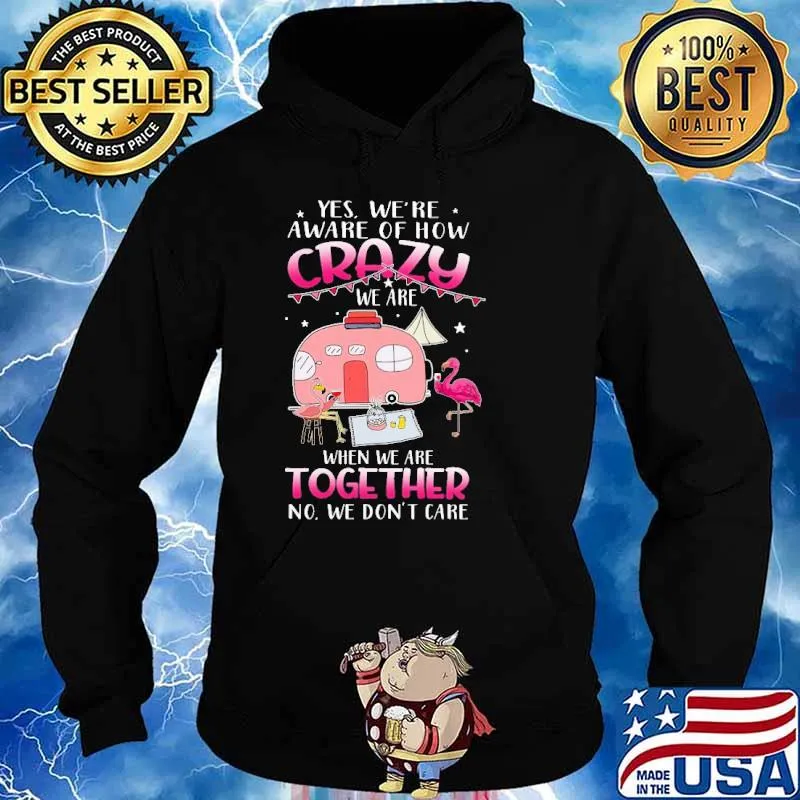 Yes We're Aware Of How Crazy We Are When We Are Together No We Don't Care Camping Flamingo Shirt Hoodie