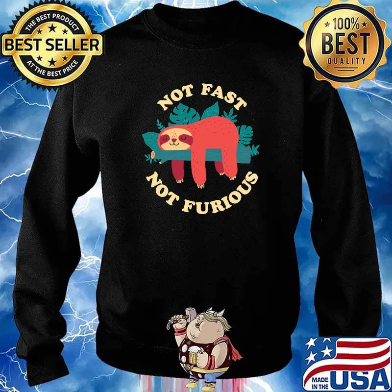 Sloth Not Fast, Not Furious Classic T-Shirt Sweater
