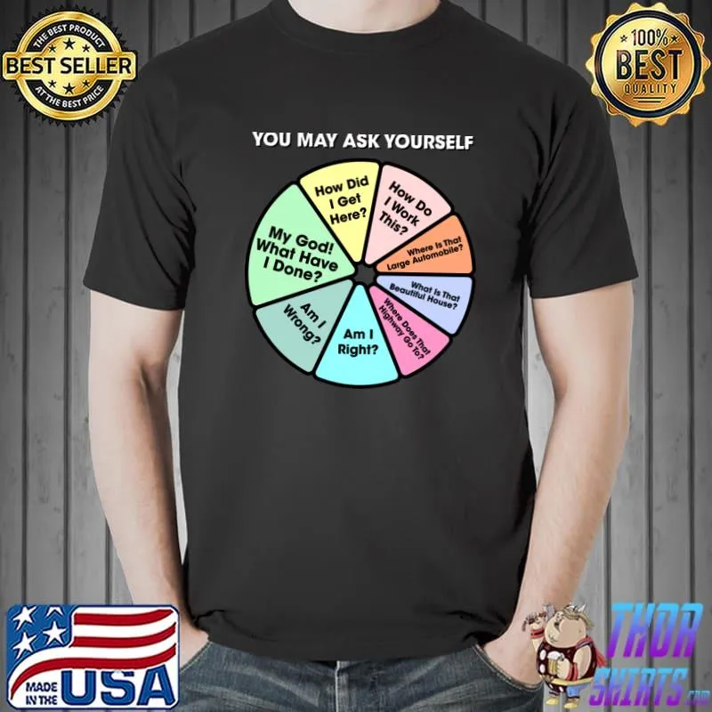 Talking Heads You May Ask Yourself - Once In A Lifetime Pie Chart T-Shirt Unisex