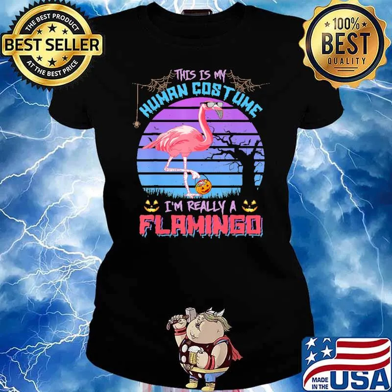 This is my human costume im really a flamimgo candy pumpkin halloween retro s Ladies tee