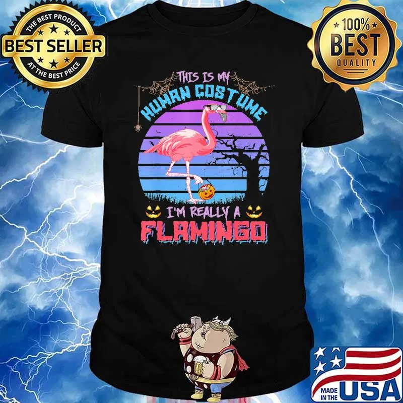 This is my human costume im really a flamimgo candy pumpkin halloween retro shirt