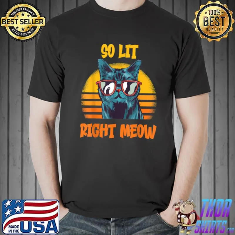 Best So Lit Right Meow Rave EDM Techno Rave Party Festival Cat T Shirt Unisex
