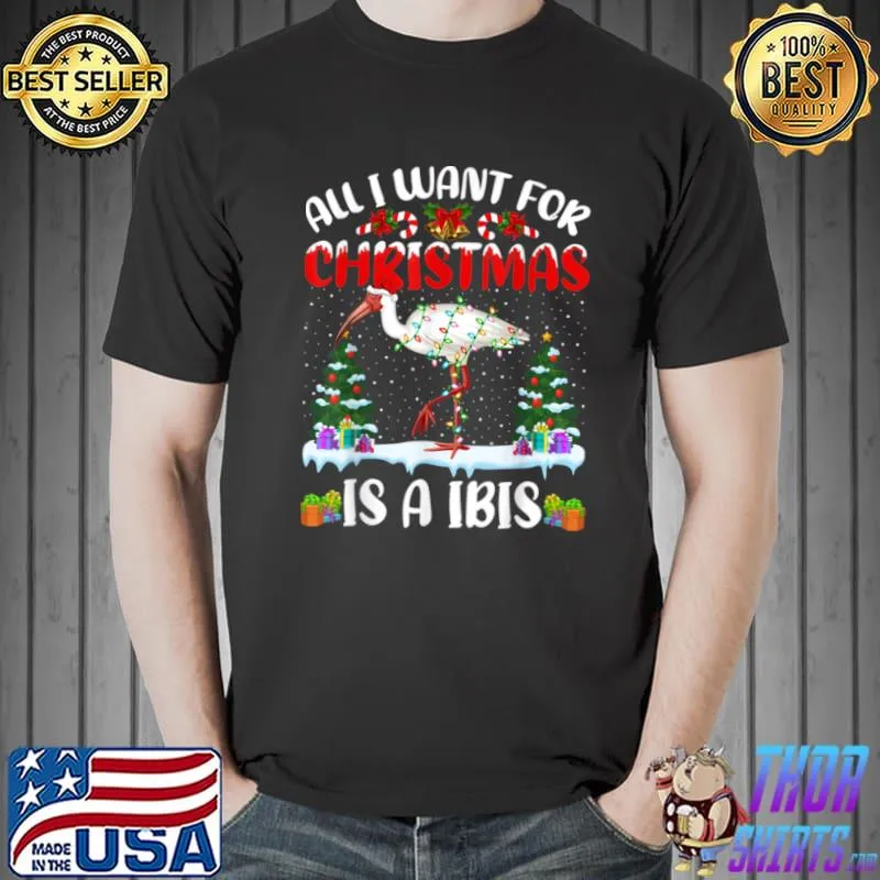 Top Funny Santa Hat All I Want For Christmas Is A Ibis T Shirt