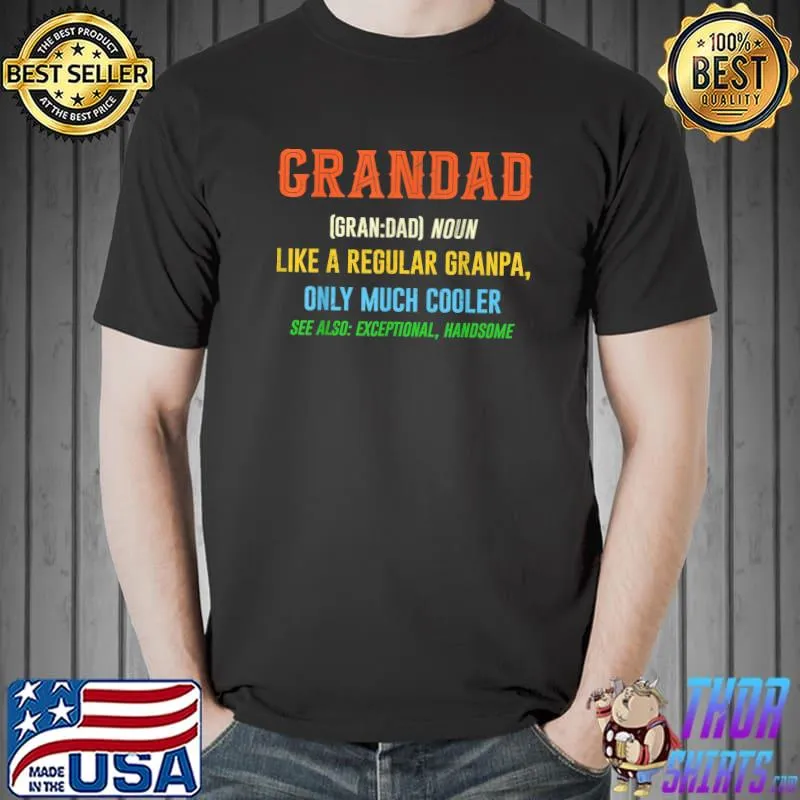 Grandad Gift - Like A Regular Funny Definition Much Cooler T-Shirt Unisex