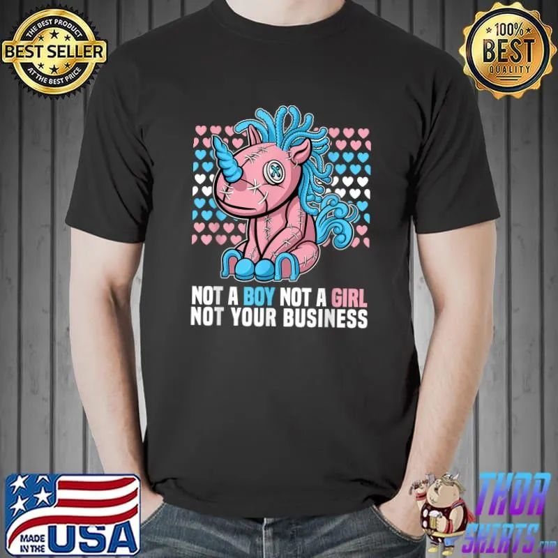 Not a boy not a girl not your business Bi Transgender T-Shirt