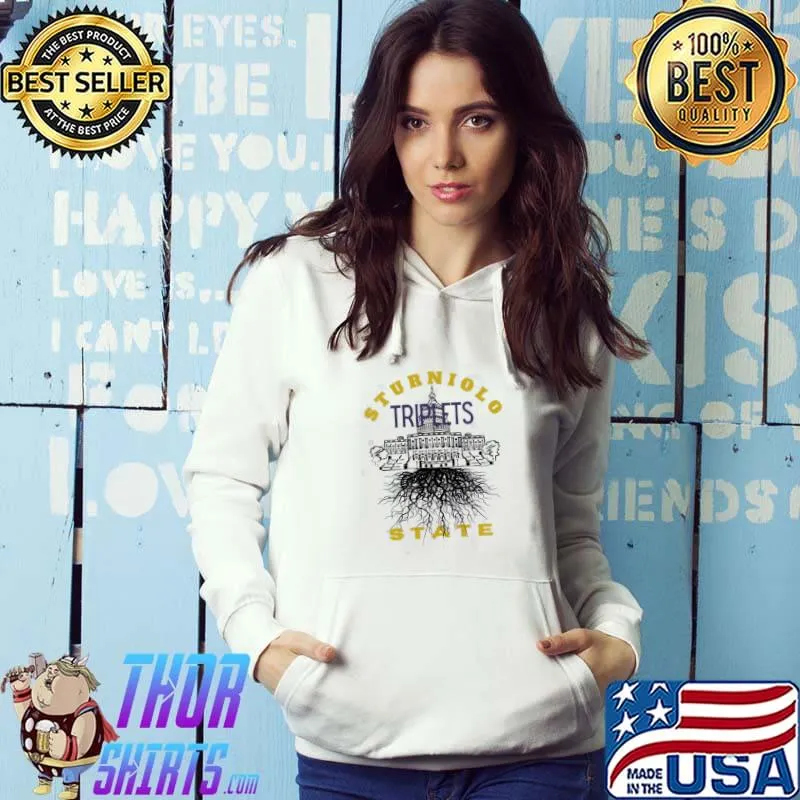 Sturniolo triplets state art Hoodie