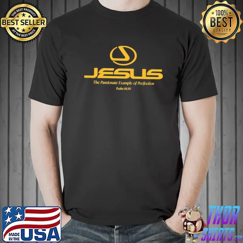 Jesus the passionate example of perfection shirt