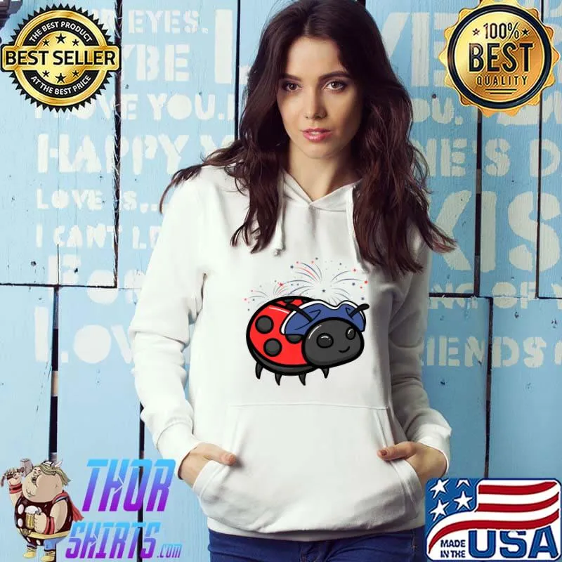 Ladybug 4th Of July Fireworks Entomologists USA Flag T-Shirt Hoodie