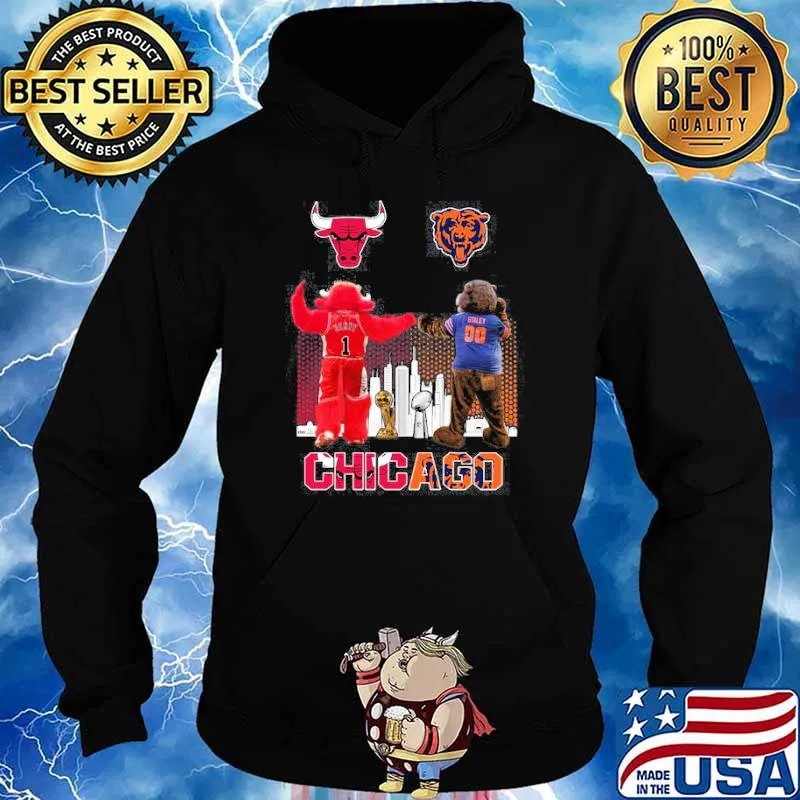 Chicago Bulls Bears Chicago sport s Hoodie