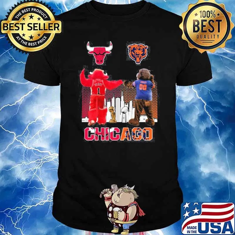 Chicago Bulls Bears Chicago sport shirt