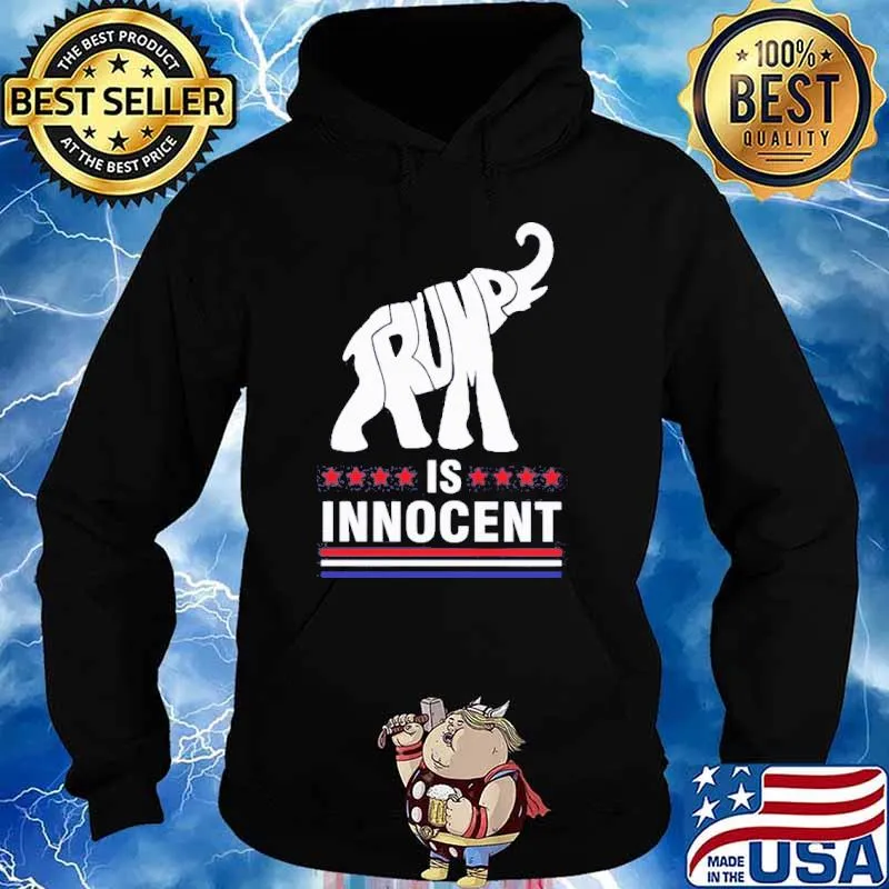 Donald Trump is innocent s Hoodie