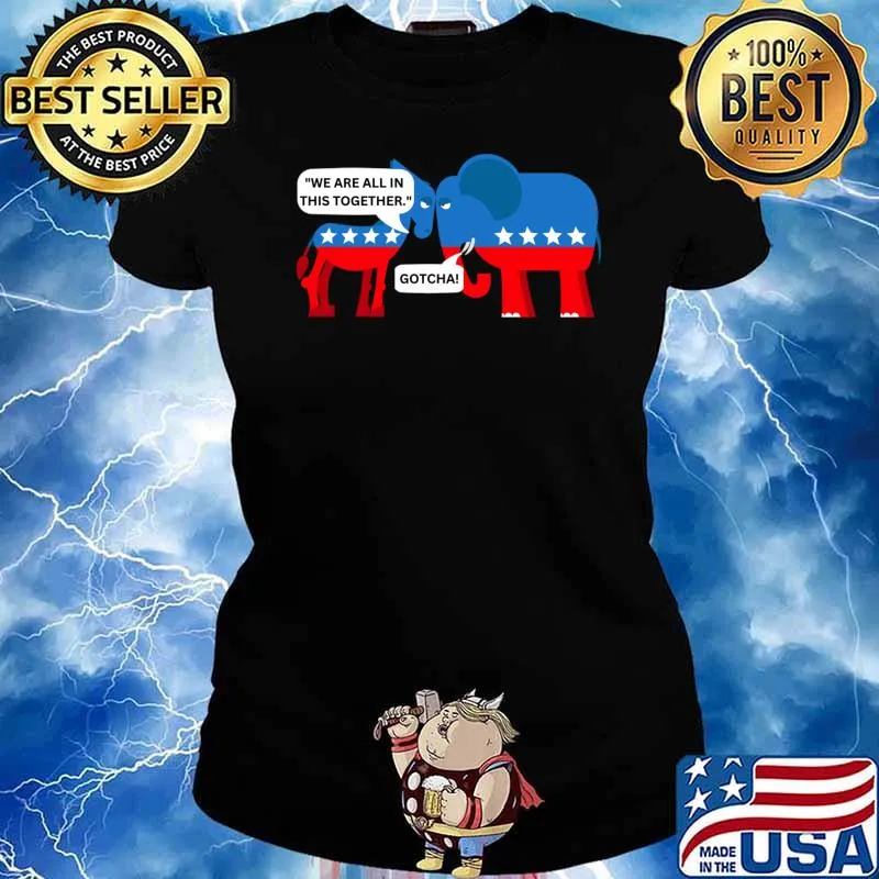 Political Democrat And Republican We Are All In This Together T-Shirt Ladies tee