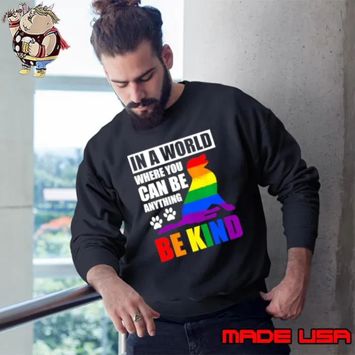 LGBT Gay Pride In a World where you can be Anything T-Shirt Sweatshirt