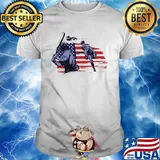 Baseball American flag veteran Independence Day shirt
