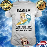 Dog labrador easily distracted by dogs and surfing shirt