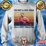Flamingo I’m not a hot mess I'm a spicy disaster vintage s Sweater