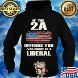 Independence Day if the 2A offends you- you might be a liberal s Hoodie