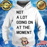 Not a lot going on at the moment s Hoodie