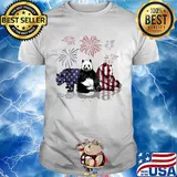 Bear firework american flag independence day shirt