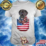 Great dane pocket american flag independence day shirt