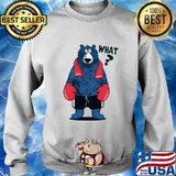 Bear boxing champions what s Sweater