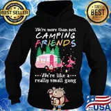 Flamingo we're more than just camping friends we're like a really small gang lights s Hoodie