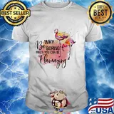 Flamingo why be boring when you can be llamazing shirt
