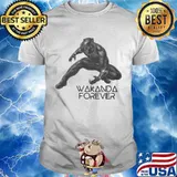 Marvel heroes black panther chadwick rip wakanda forever shirt