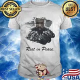 Marvel heroes black panther rip chadwick rest in peace shirt