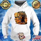 Official Black Cat Witch Pumpkin Witch Halloween s Hoodie