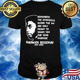 Remember the struggles along the way are only meant to shape you for your purpose rip chadwick 1976 2020 shirt