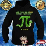 What do you call a snake that's 3.114 meters long a python s Hoodie