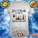 Yes i really do need all these ferrets shirt